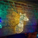 Sparkly Stag - image 2