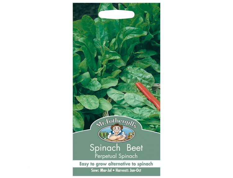 Spinach Beet Seeds Perpetual Spinach - image 1