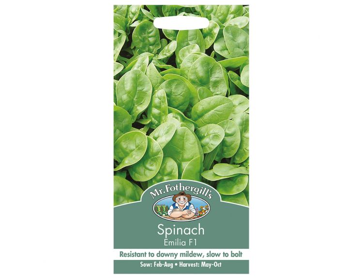 Spinach Seeds Emilia F1 - image 1