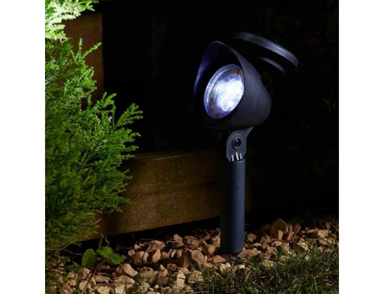 Spotlight Prima 3L