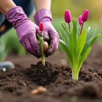 Flowering Bulbs For Spring Deals