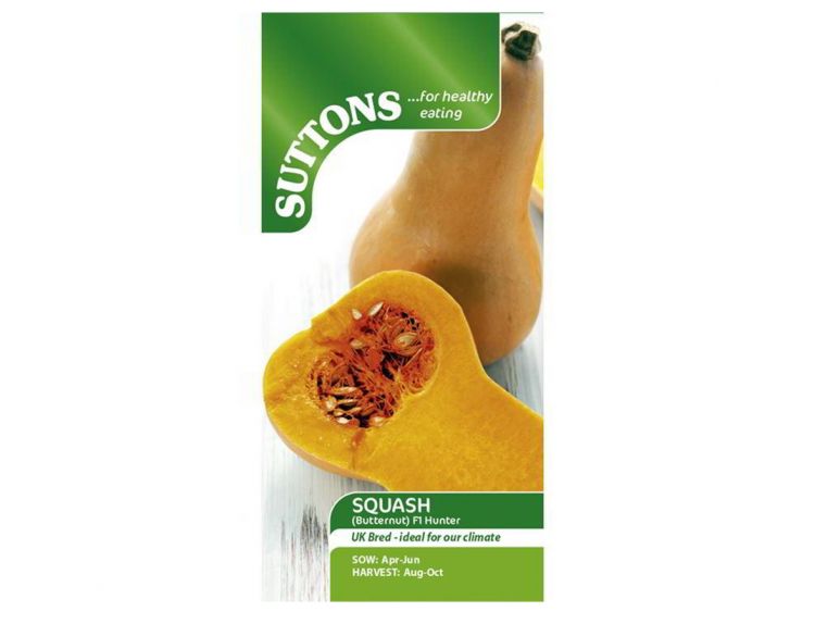 Squash Seeds F1 Butternut Hunter - image 1