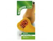 Squash Seeds F1 Butternut Hunter - image 1