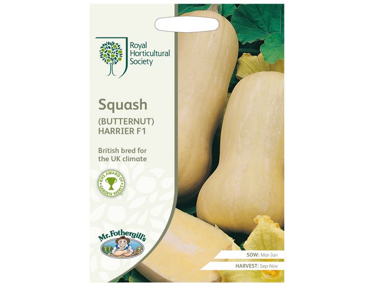 Squash Seeds RHS (Butternut) Harrier F1 - image 1