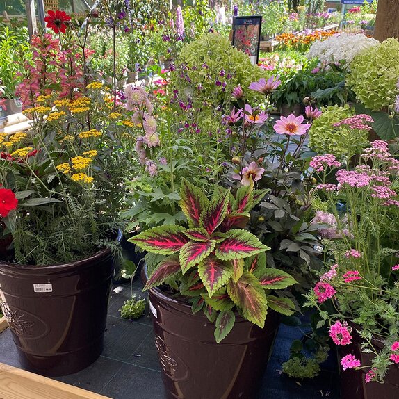 Summer Container 1 - image 1