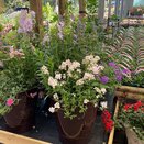 Summer Container 1 - image 2