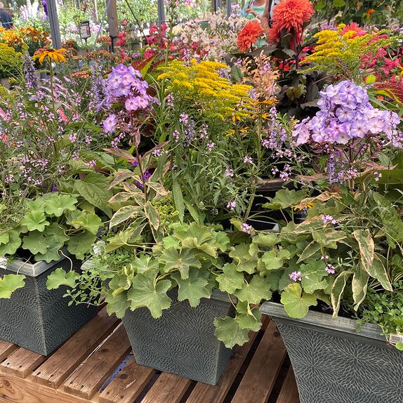 Summer Container 2 - image 1