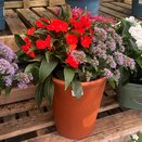 Summer Container 3 - image 1