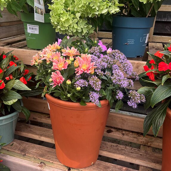 Summer Container 3 - image 2