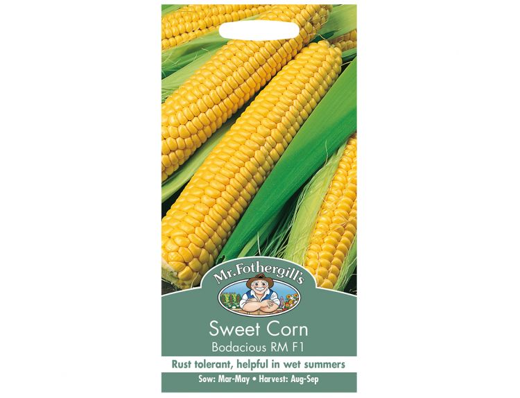 Sweet Corn Seeds Bodacious RM F1 - image 1