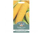 Sweet Corn Seeds Incredible F1 - image 1