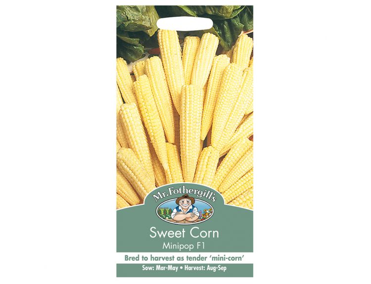 Sweet Corn Seeds Minipop F1 - image 1
