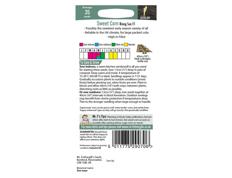 Sweet Corn Seeds Rising Sun F1 - image 2