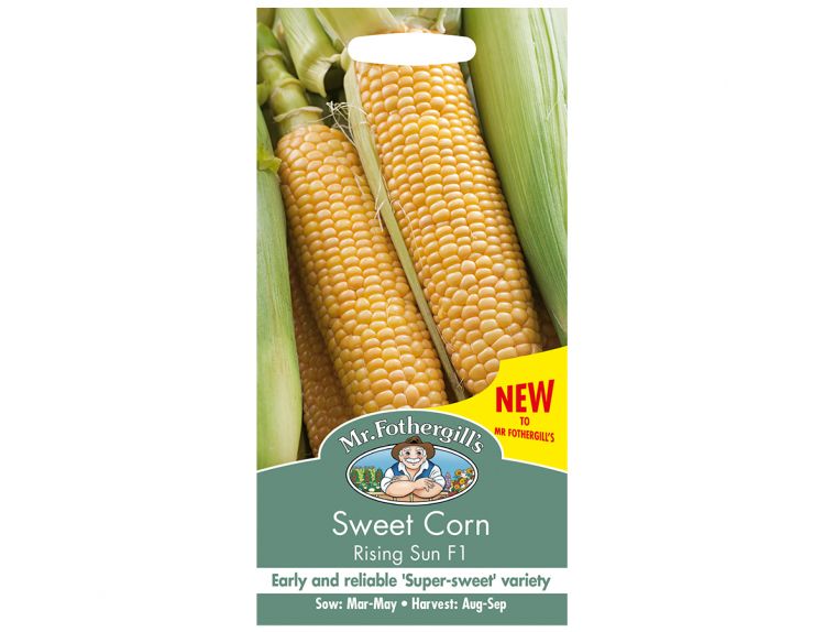 Sweet Corn Seeds Rising Sun F1 - image 1