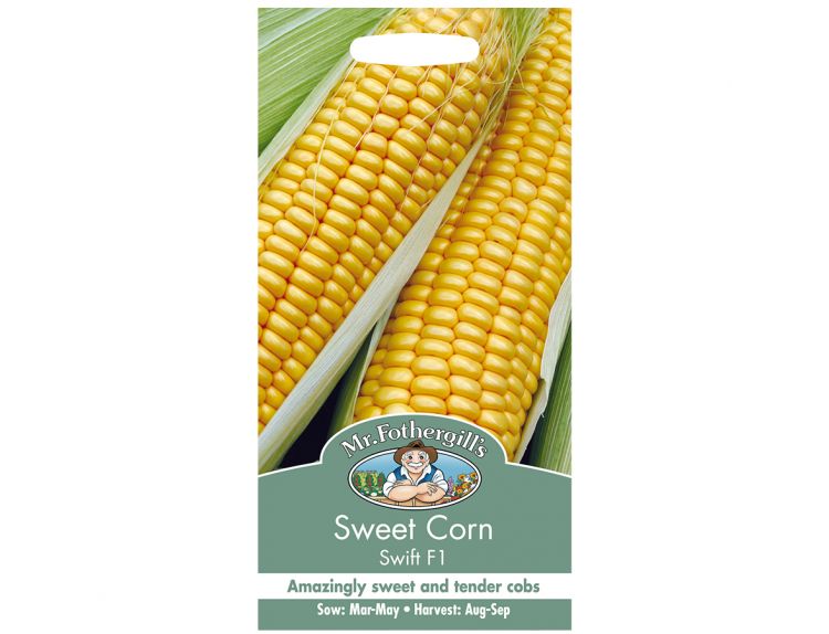 Sweet Corn Seeds Swift F1 - image 1