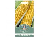 Sweet Corn Seeds Swift F1 - image 1