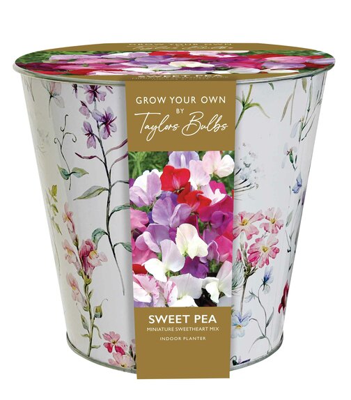 Sweet Pea Zinc Floral Planter