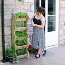 Tall Vertical Herb Stand