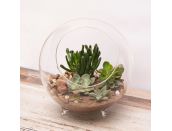 Terrarium Large Glass Sphere with feet