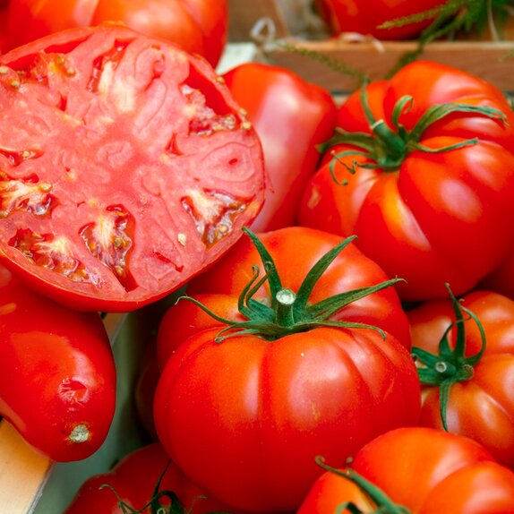 Tomato Plant Beefsteak 9cm pot - image 1