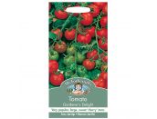 Tomato Seeds Gardeners Delight - image 1