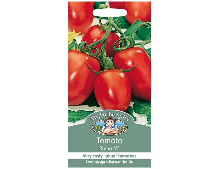 Tomato Seeds Roma VF - image 1
