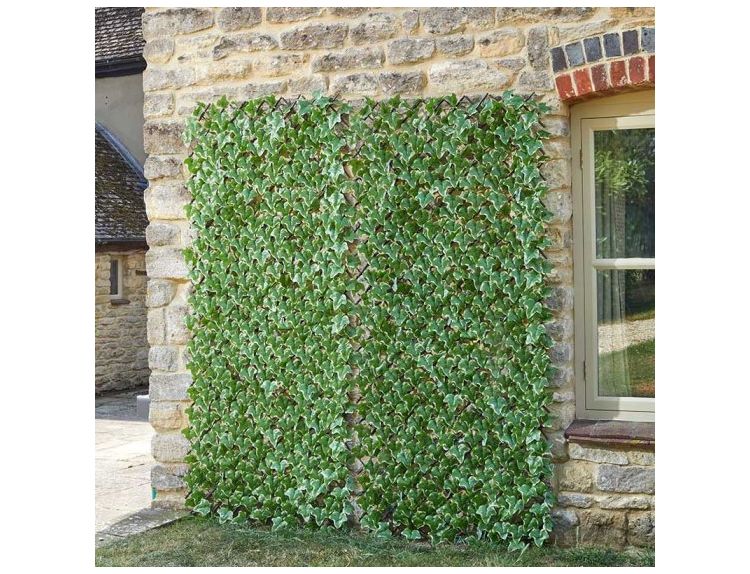 Trellis Ivy Leaf 180 x 60 cm - image 2