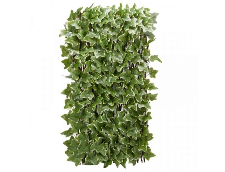 Trellis Ivy Leaf 180 x 60 cm - image 1