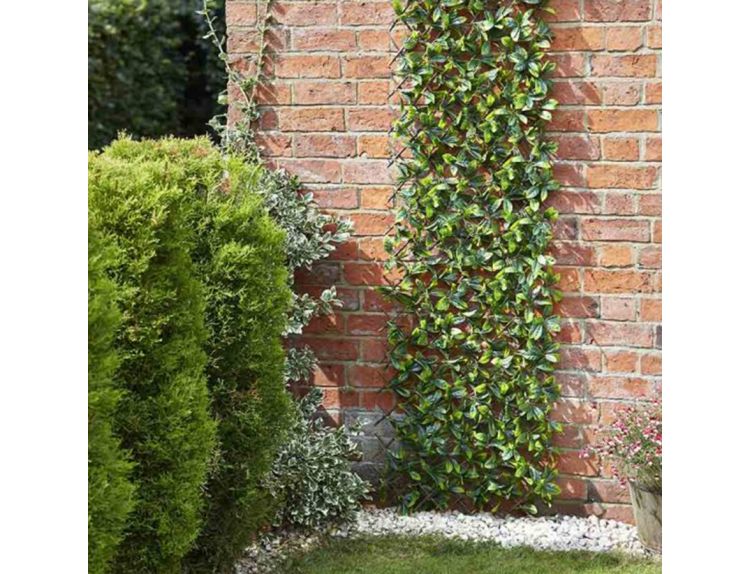 Trellis Lemon Leaf Willow 180 x 60 cm Knights Garden Centres