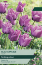 Tulip - Bleu Aimable