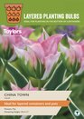 Tulip - China Town