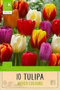 Tulip - Darwin Hybrid Impression Mixed