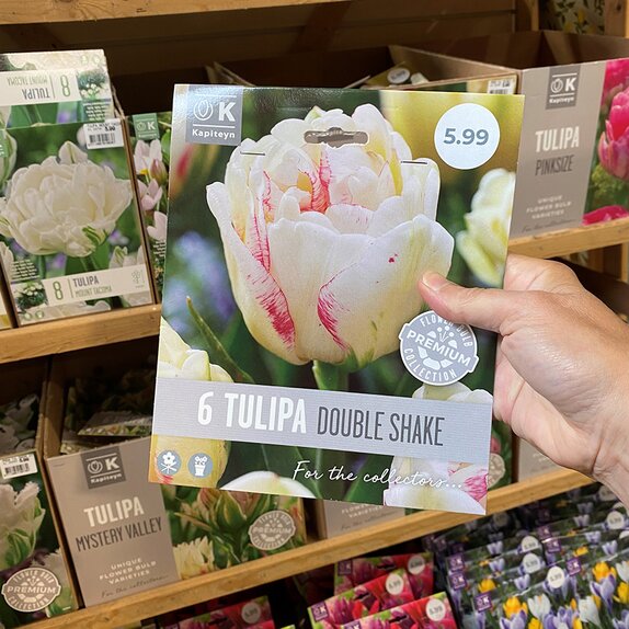 Tulip Double Shake Premium Collection