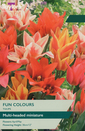Tulip - Fun Colours