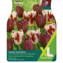 Tulip - Grand National