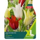 Tulip - Joie De Vivre Mix