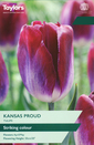 Tulip - Kansas Proud