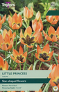 Tulip - Little Princess