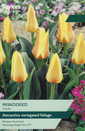 Tulip - Miskodeed