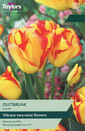 Tulip - Outbreak