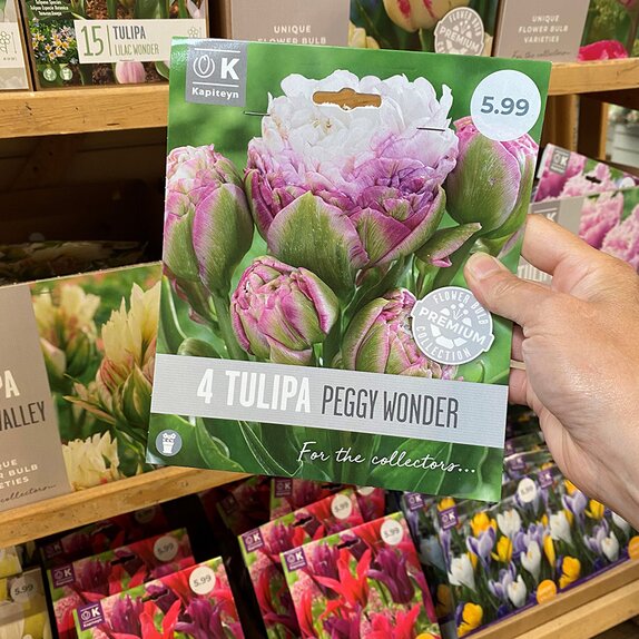 Tulip Peggy Wonder Premium Collection