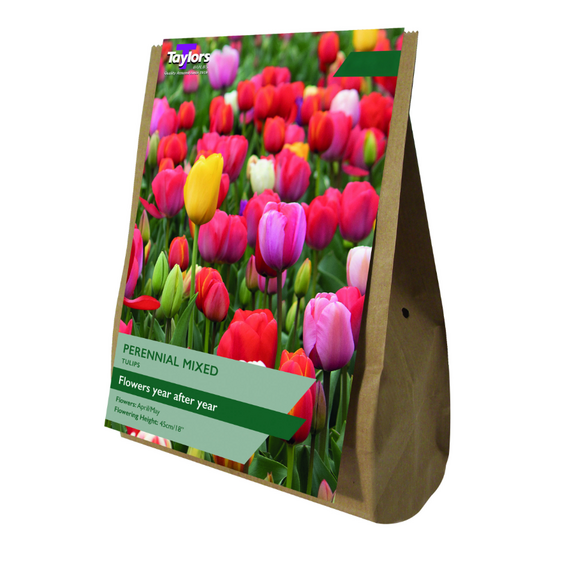 Tulip - Perennial Mixed Value Bag