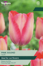 Tulip - Pink Sound