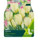 Tulip - Purissma