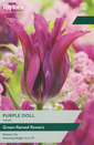 Tulip - Purple Doll