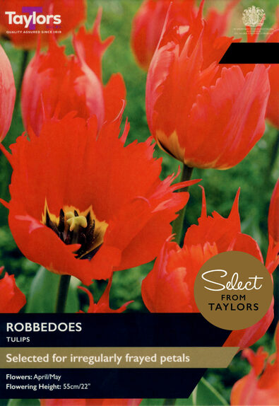 Tulip - Robbedoes