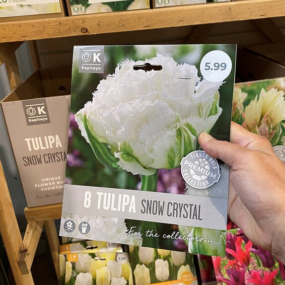 Tulip Snow Crystal Premium Collection 