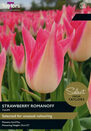Tulip - Strawberry Romanoff