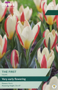 Tulip - The First