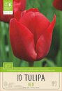 Tulip - Triumph Red
